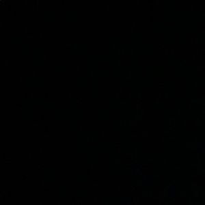 Meet your Posher, Jared